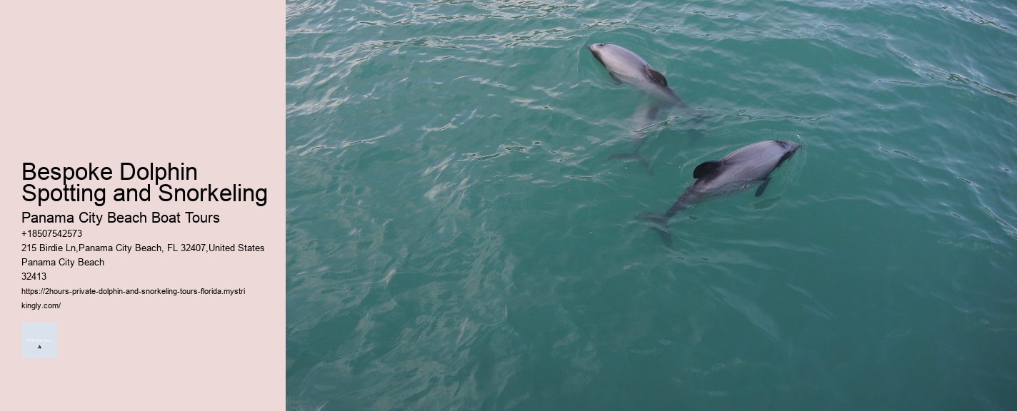 Bespoke Dolphin Spotting and Snorkeling