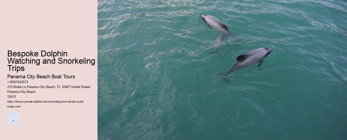 Corpus Christi Dolphin Tours