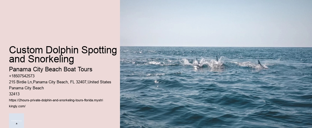 Custom Dolphin Spotting and Snorkeling