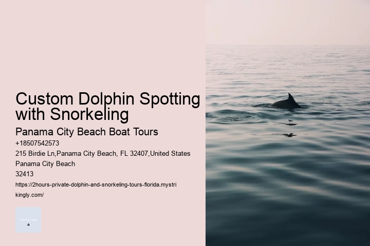 Custom Dolphin Spotting with Snorkeling