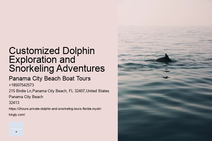 Dolphin Tours Tenerife