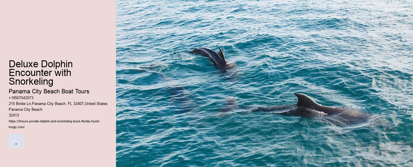 Deluxe Dolphin Encounter with Snorkeling