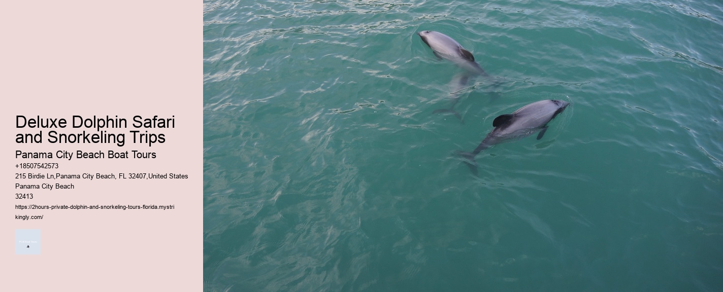 Three Brothers Dolphin Tours