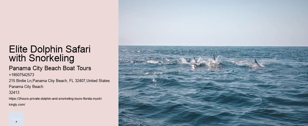 Tarpon Springs Dolphin Tours