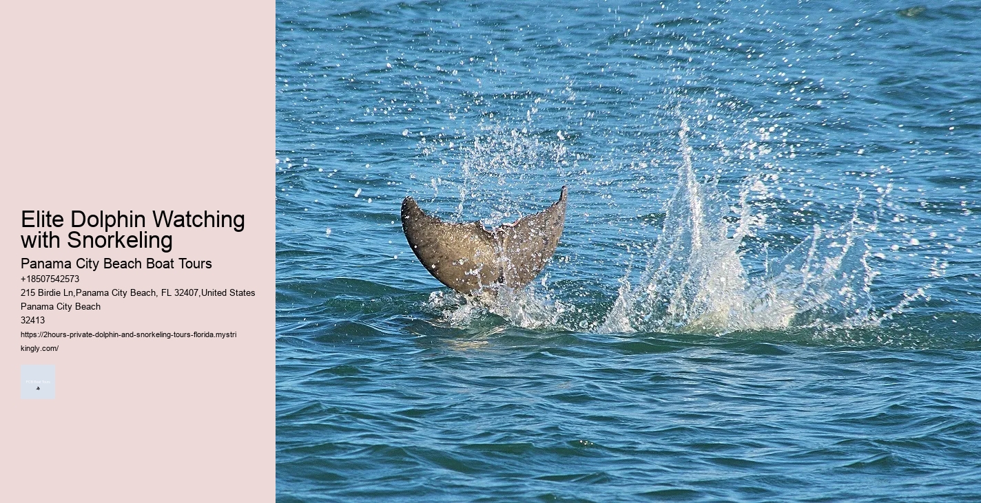 Boat Tours Zell Am See