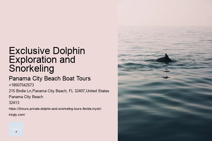 Exclusive Dolphin Exploration and Snorkeling