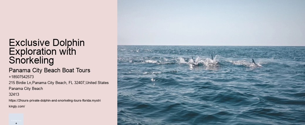 Exclusive Dolphin Exploration with Snorkeling