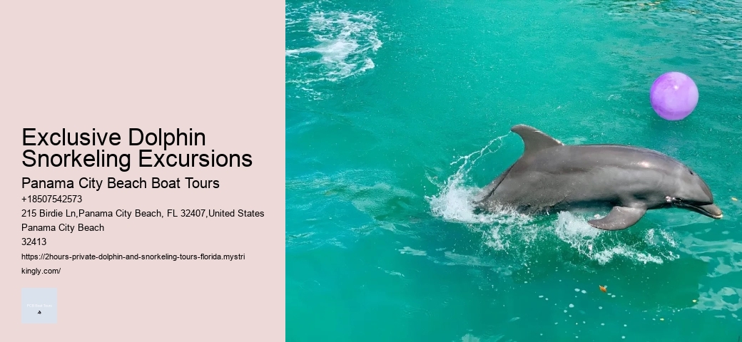 Can The Dolphin Pool Cleaner Get Wet