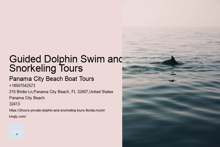 Dolphin Tours & Snorkeling Tours