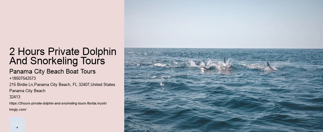 2 Hours Private Dolphin And Snorkeling Tours