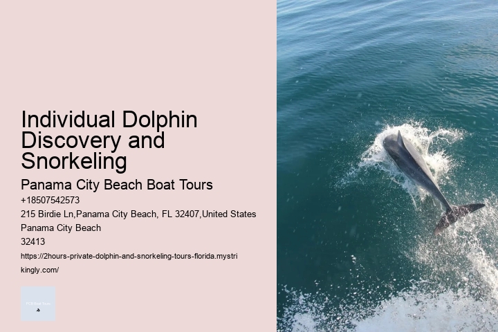 Closest Dolphin Tour Near Me