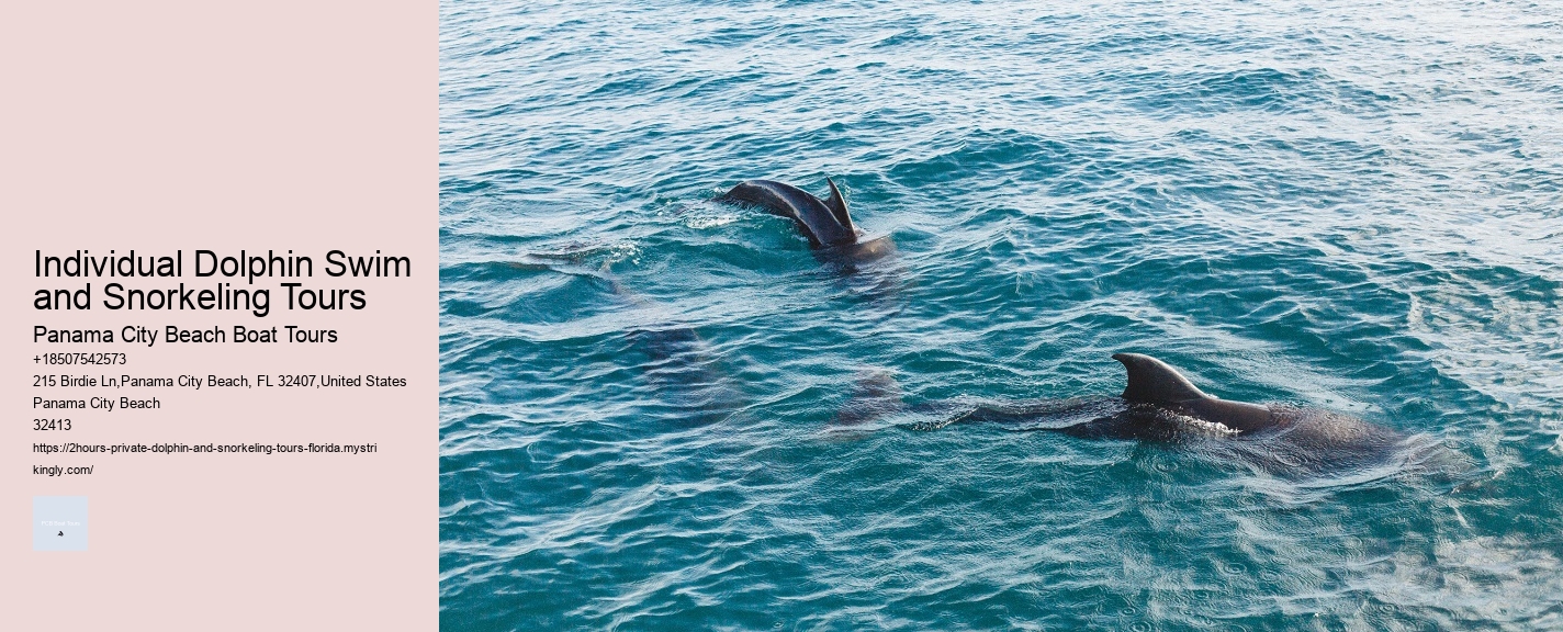 Individual Dolphin Swim and Snorkeling Tours