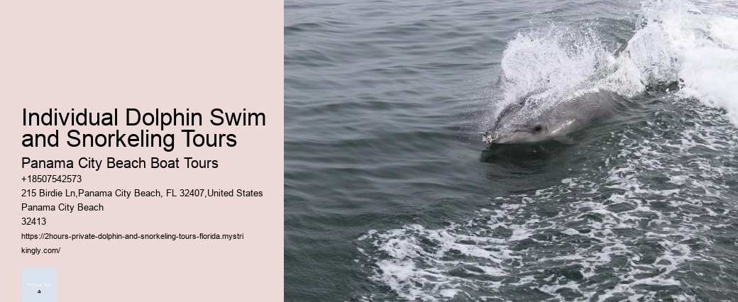 What To Expect (And Not Expect) On A Whale And Dolphin Watching Trip