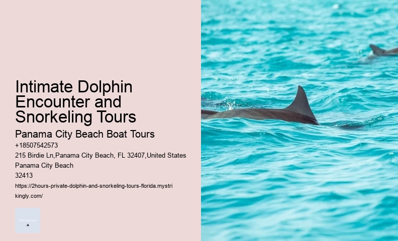 Dolphin Tours Orlando Florida