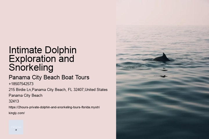 Intimate Dolphin Exploration and Snorkeling