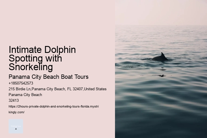 Intimate Dolphin Spotting with Snorkeling