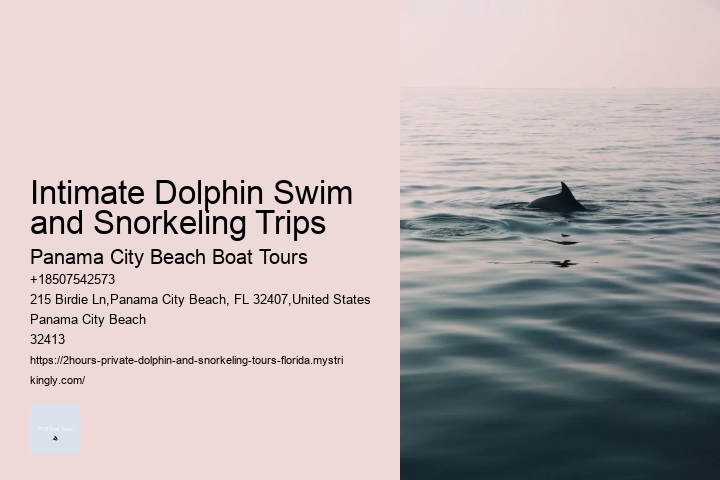 Dolphin Snorkeling Hawaii