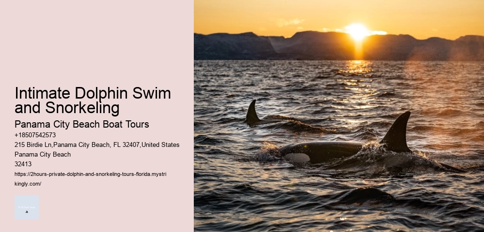 Dolphin Tours Fort Lauderdale