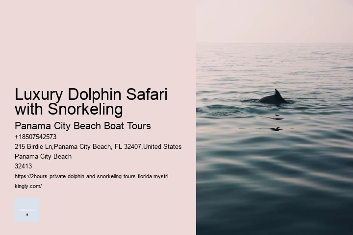 Luxury Dolphin Safari with Snorkeling