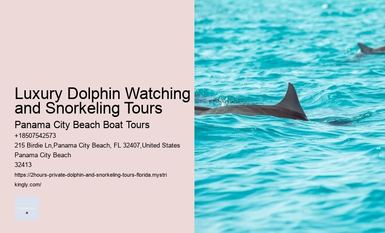Voyager Dolphin Tours