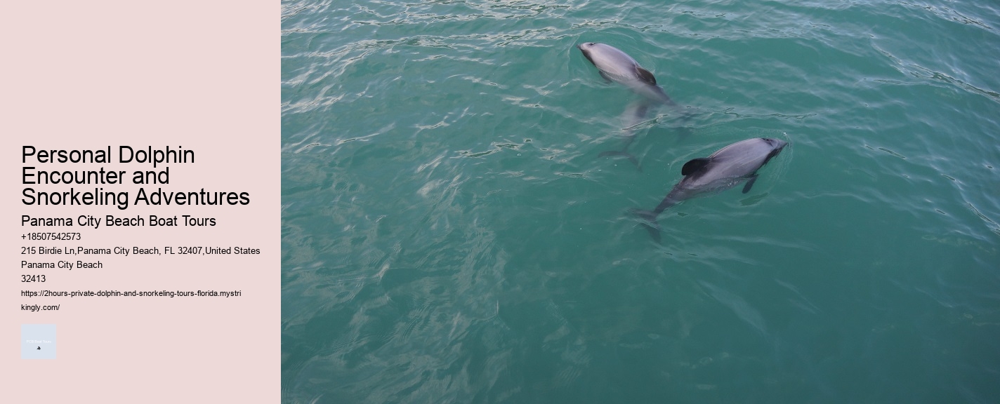 Personal Dolphin Encounter and Snorkeling Adventures