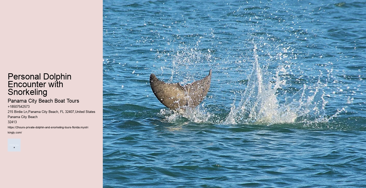 Dolphin Quest Oahu Tours