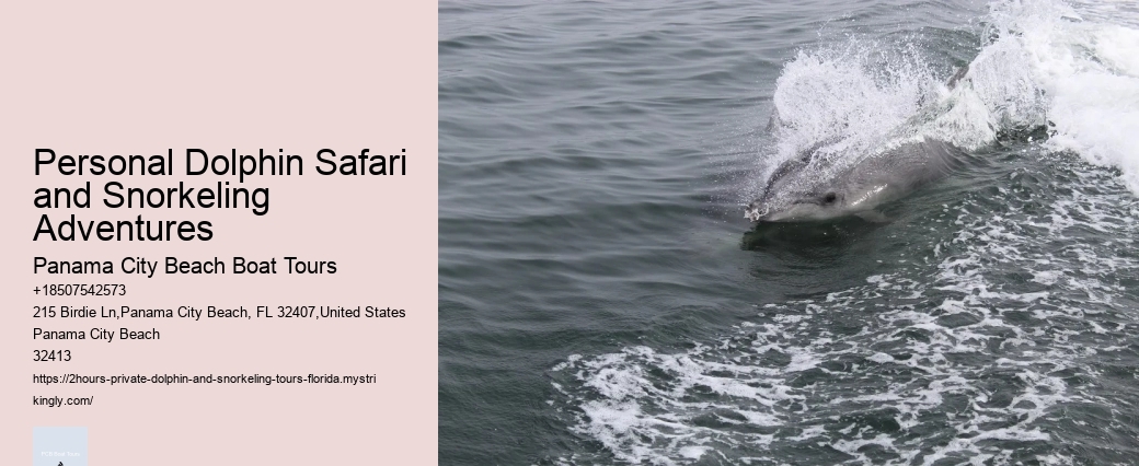 Are Dolphins Meaner Than Sharks