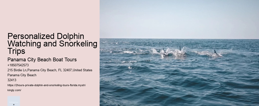 Exclusive Dolphin Exploration with Snorkeling