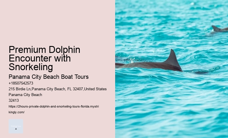 Uvita Dolphin Tours