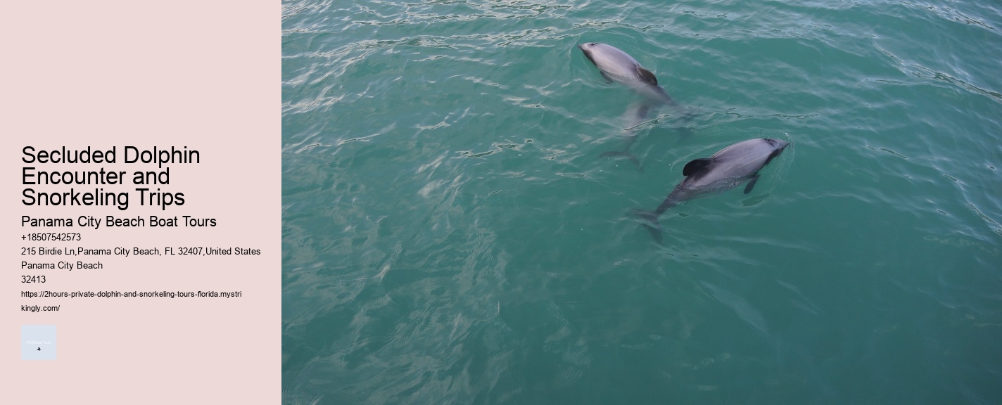 Secluded Dolphin Encounter and Snorkeling Trips