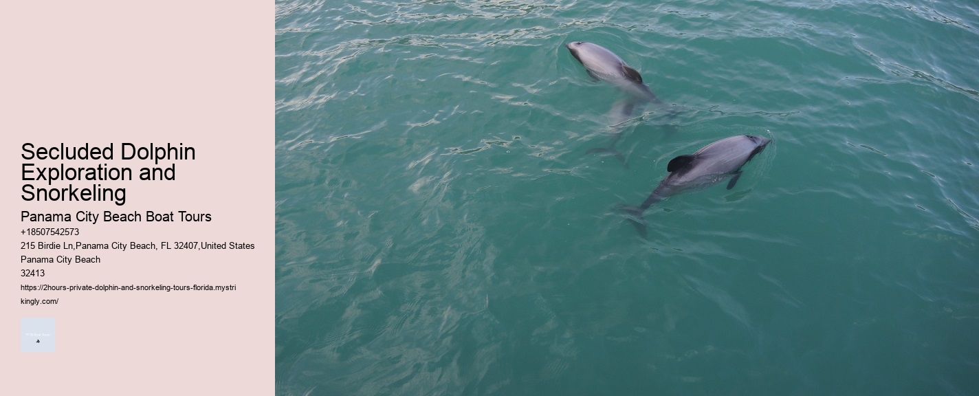 Fort Myers Dolphin Tours