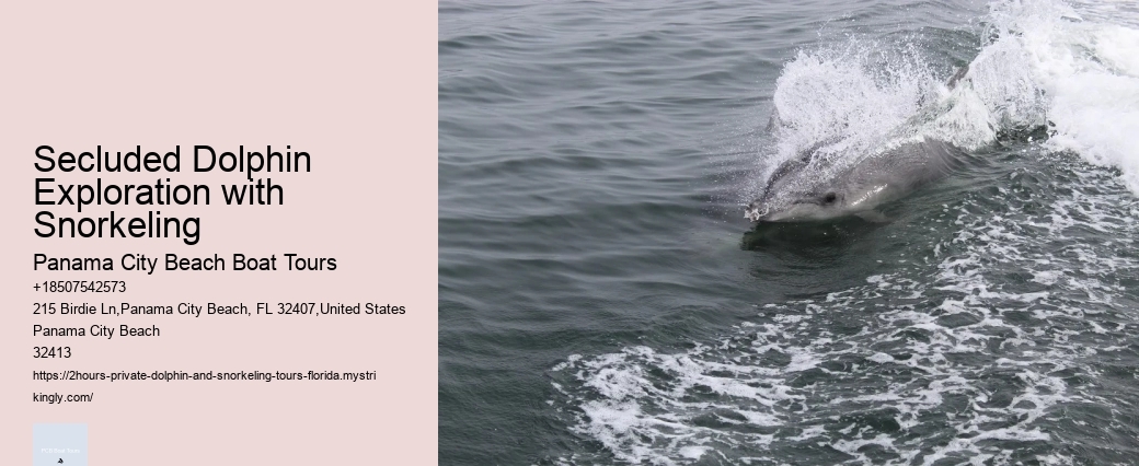 Dolphin Tours Near Me