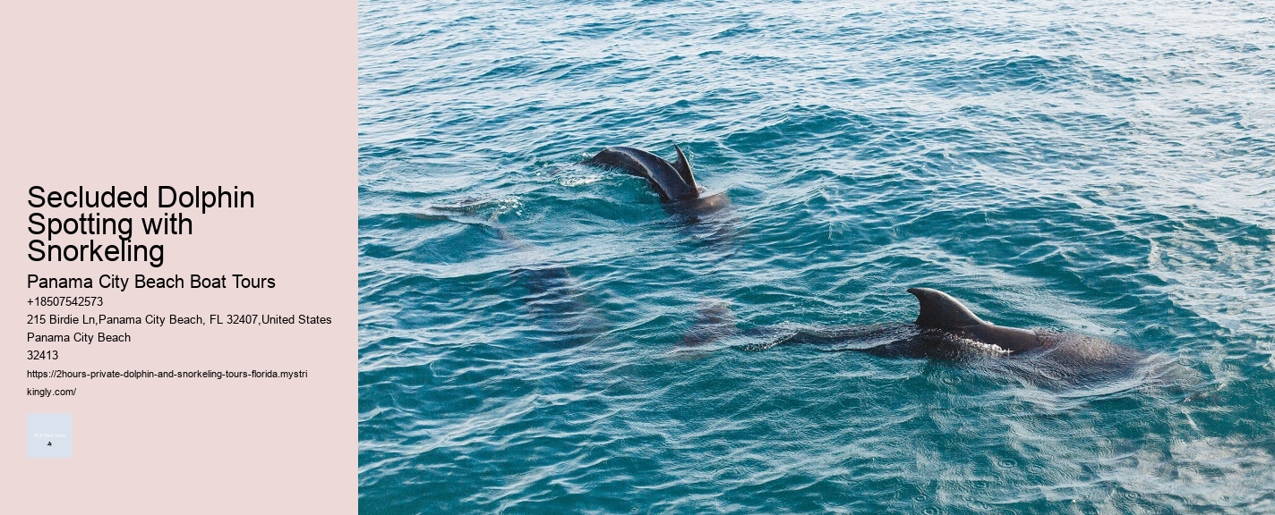 Secluded Dolphin Spotting with Snorkeling