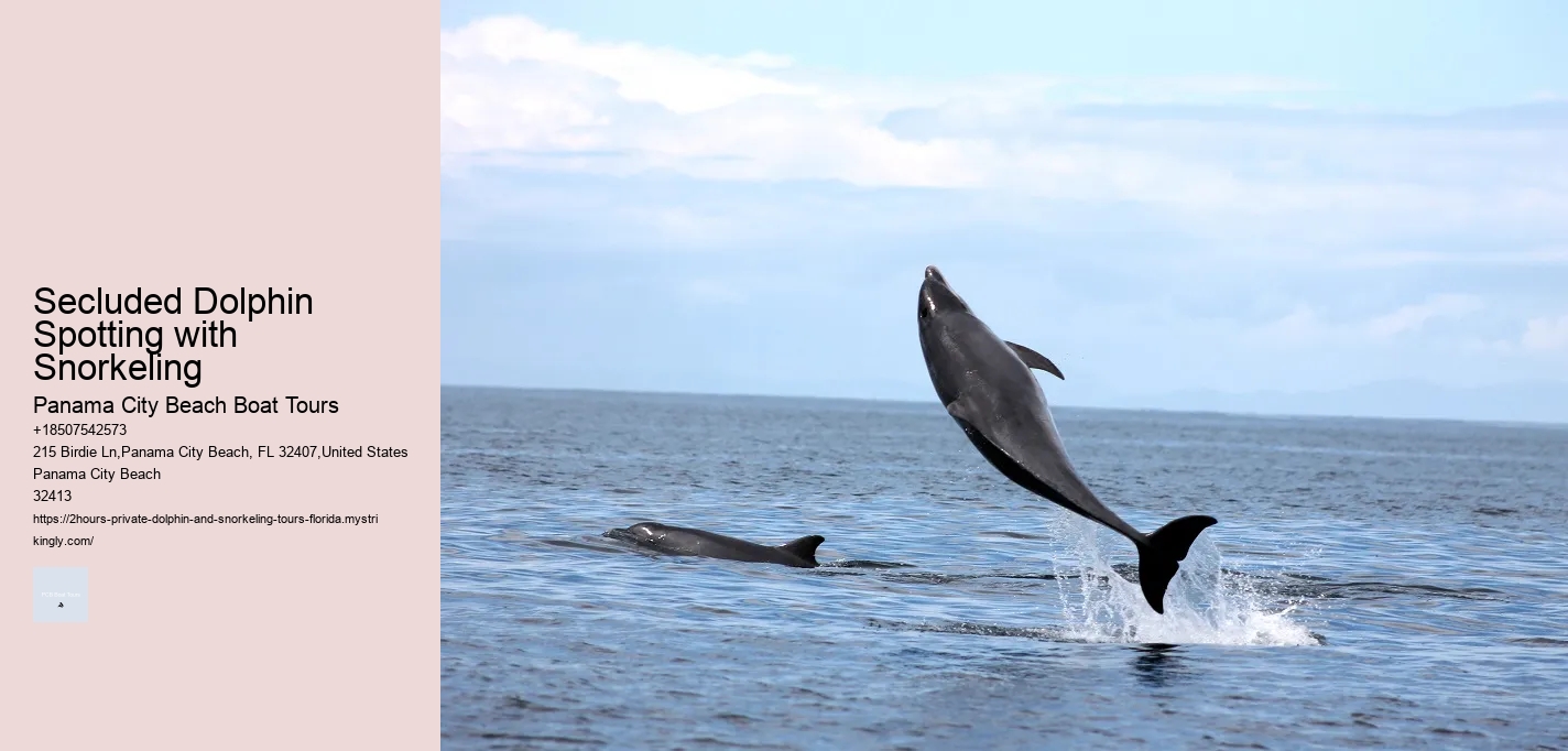 Marco Island Dolphin Tours