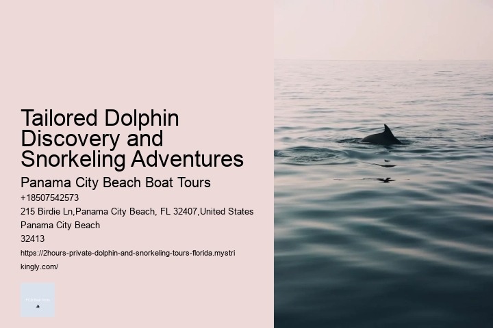 Orlando Florida Dolphin Tours