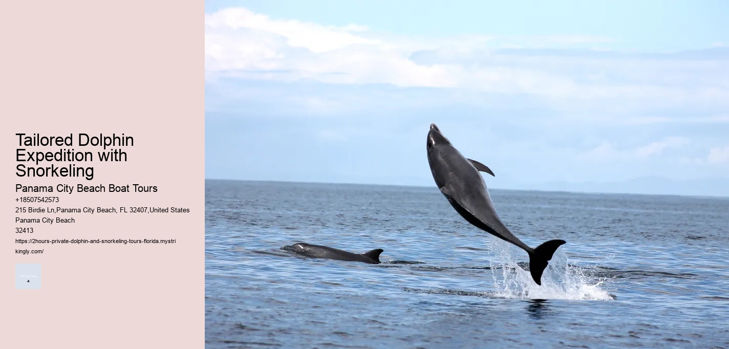 Tailored Dolphin Expedition with Snorkeling