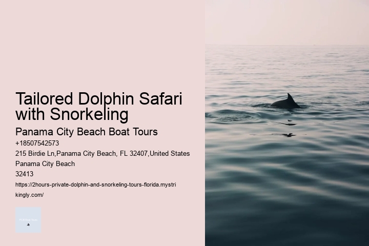 Tailored Dolphin Safari with Snorkeling