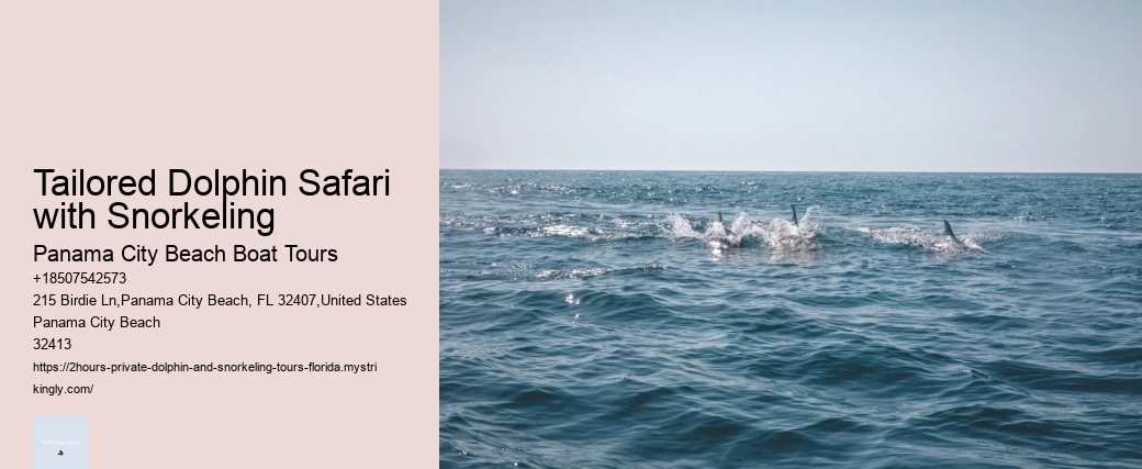 Tailored Dolphin Safari with Snorkeling